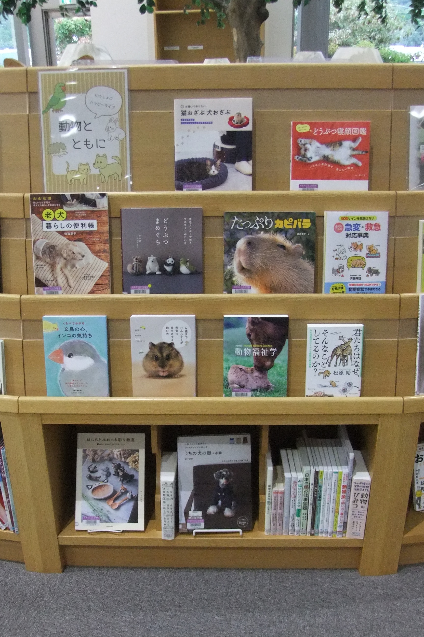 近江図書館9月の特集展示「いっしょにハッピーライフ　動物とともに」