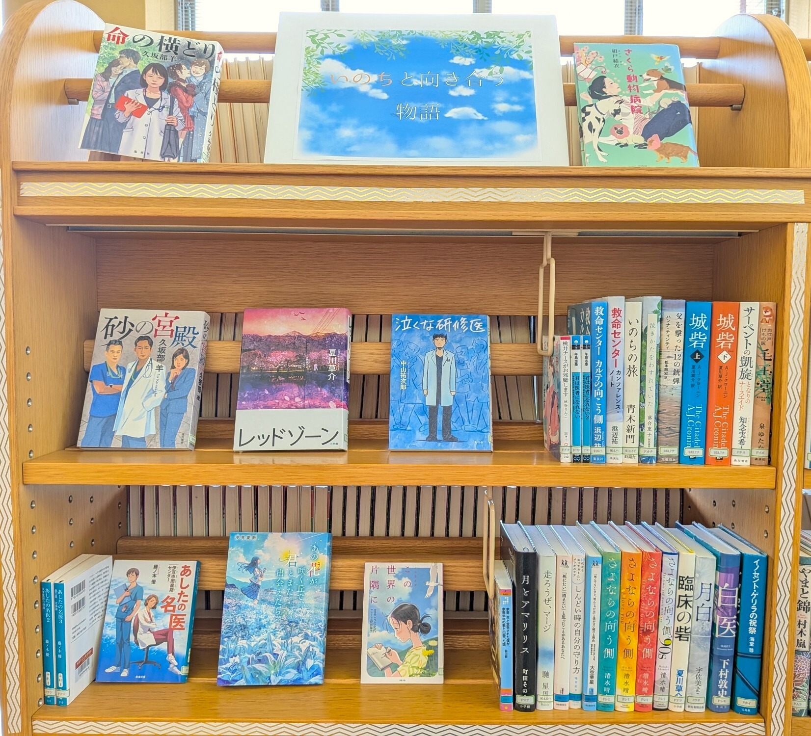 山東図書館9月の特集展示「いのちと向き合う物語」